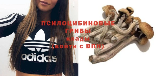 Альфа ПВП Горно-Алтайск