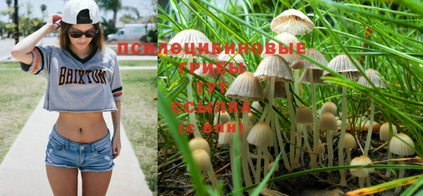 ешки Горнозаводск