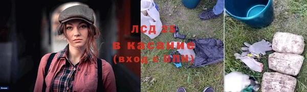 PSILOCYBIN Гусиноозёрск
