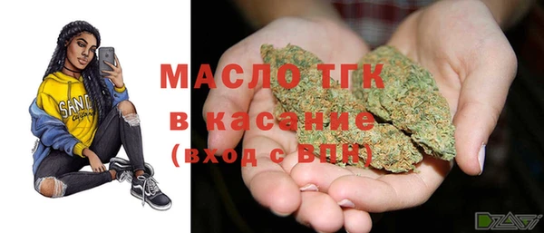 стаф Горняк