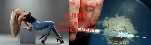 стаф Горняк