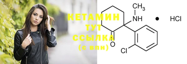 стаф Горняк