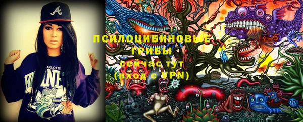 герыч Гусь-Хрустальный