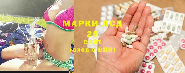 стаф Горняк